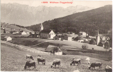 Wildhaus um 1910