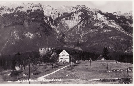 Foto Forstegg _RU (3)