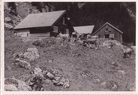 Sennwald Foto A. Eggenberger, Walzenhausen, Nr. 626 _RU
