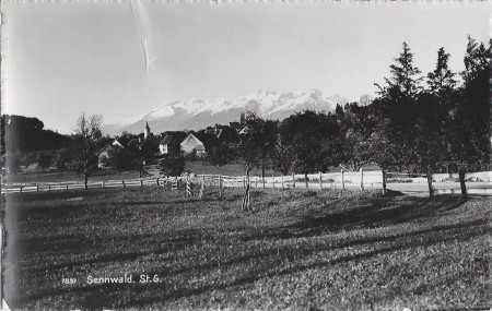 Sennwald Foto Gross, St. Gallen, Nr. 7837 _RU