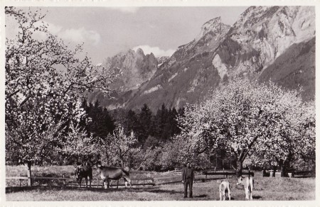 Sennwald Foto Herkunft unbekannt _RU (13)