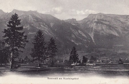 Sennwald Foto Jac. Ittensohn, St. Margrethen, Nr. 243 _RU