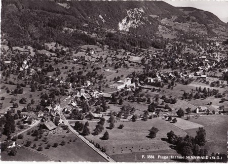 Sennwald Foto Gross, St. Gallen, Nr. F 3564, 1954 _RU