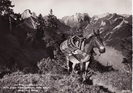Staubern Foto Foto Gross, St. Gallen, Nr. 23343 _RU