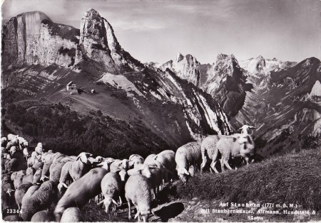 Staubern Foto Gross, St. Gallen, Nr. 23344 _RU