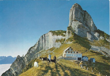 Staubern Foto Gross, St. Gallen, Nr. 34398fb _RU