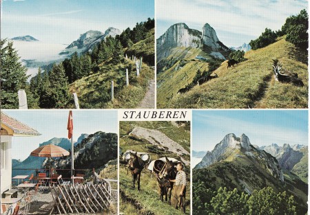 Staubern Foto Gross, St. Gallen, Nr. 34401 fb _RU