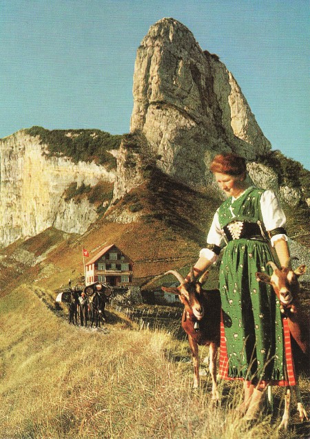 Staubern Foto Gross, St. Gallen, Nr. 41751 _RU
