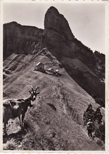 Staubern Foto Photo A. Eggenberger, Walzenhausen, Nr. 826 _RU