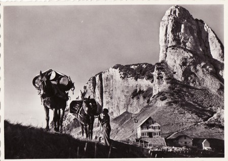 Staubern Photo A. Eggenberger, Walzenhausen, Nr. 797 _RU