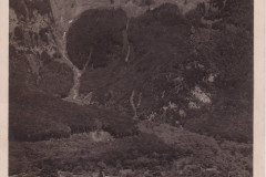 Frümsen Foto H. Dinkelacker, Altstätten, Nr. 84, Z 07140 _RU