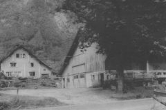 fruemsen-grossabobas-haus-und-stall-1965-scaled