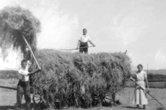 fruemsen-heuet-foto-von-fred