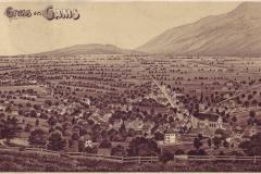 Gams-1903