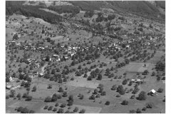 1956_Sax_F3963