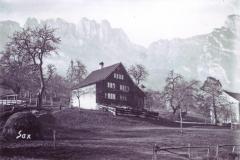 Sax Haus Düsel Farnen