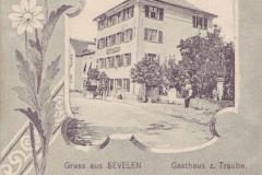 Sevelen-Traube-um-1905
